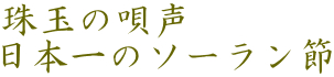 ʂ̉S {̃\[