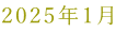2025N1